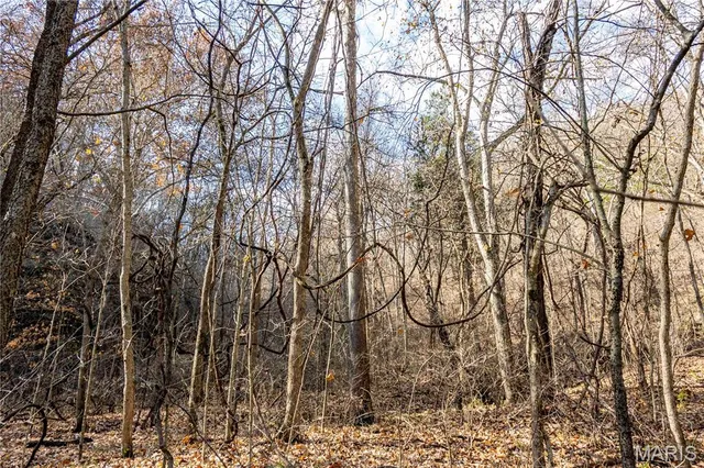 $1 | 0 Charette Creek Road, Warrenton, MO 63383