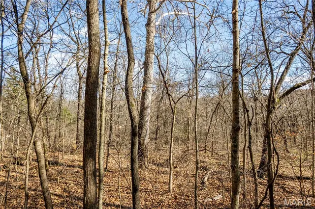 $1 | 0 Charette Creek Road, Warrenton, MO 63383