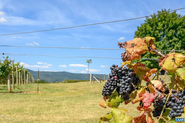 a view of staircase with wooden floor and staircase