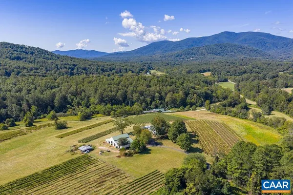 a view of a swimming pool with a yard