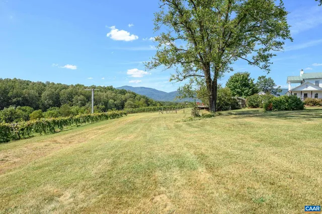a view of a backyard with plants and a grill