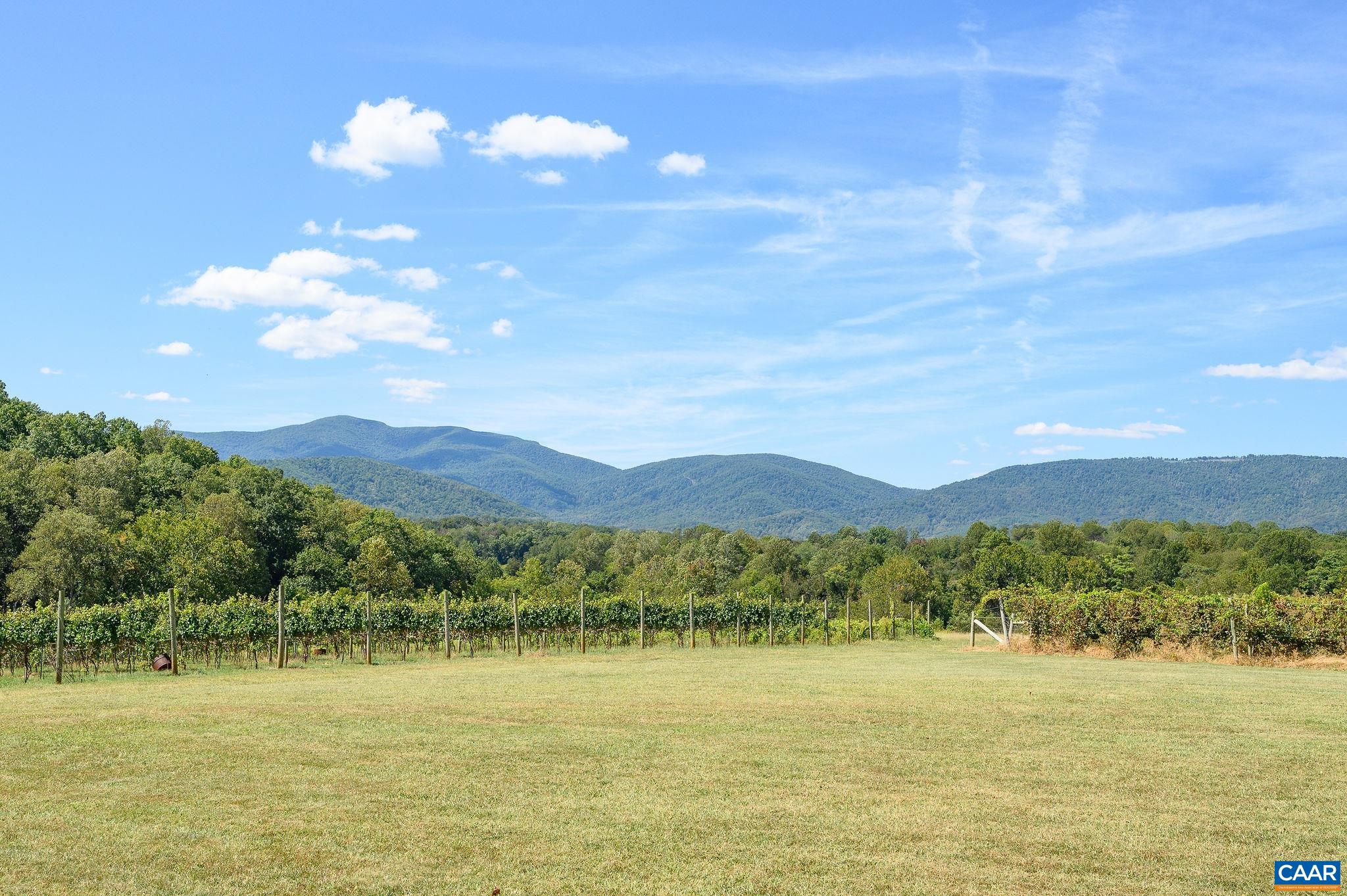 9175 Batesville Road Afton, VA 22920 - Photo 51 of 74 a view of an ocean and a mountain