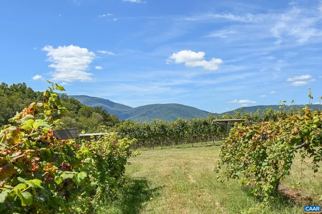 a view of a swimming pool with a yard