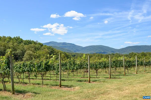 a view of a house with a big yard and large trees