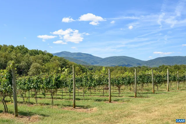 a view of a house with a big yard and large trees
