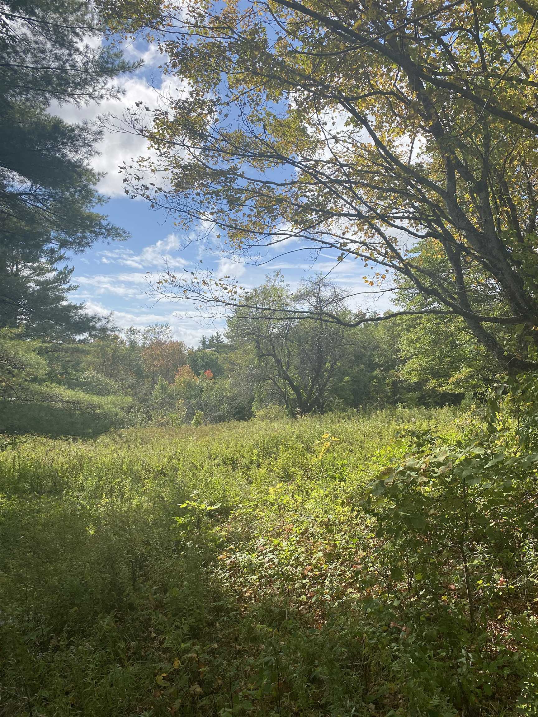 226 Cutler Road Lempster, NH 03605 - Photo 1 of 15