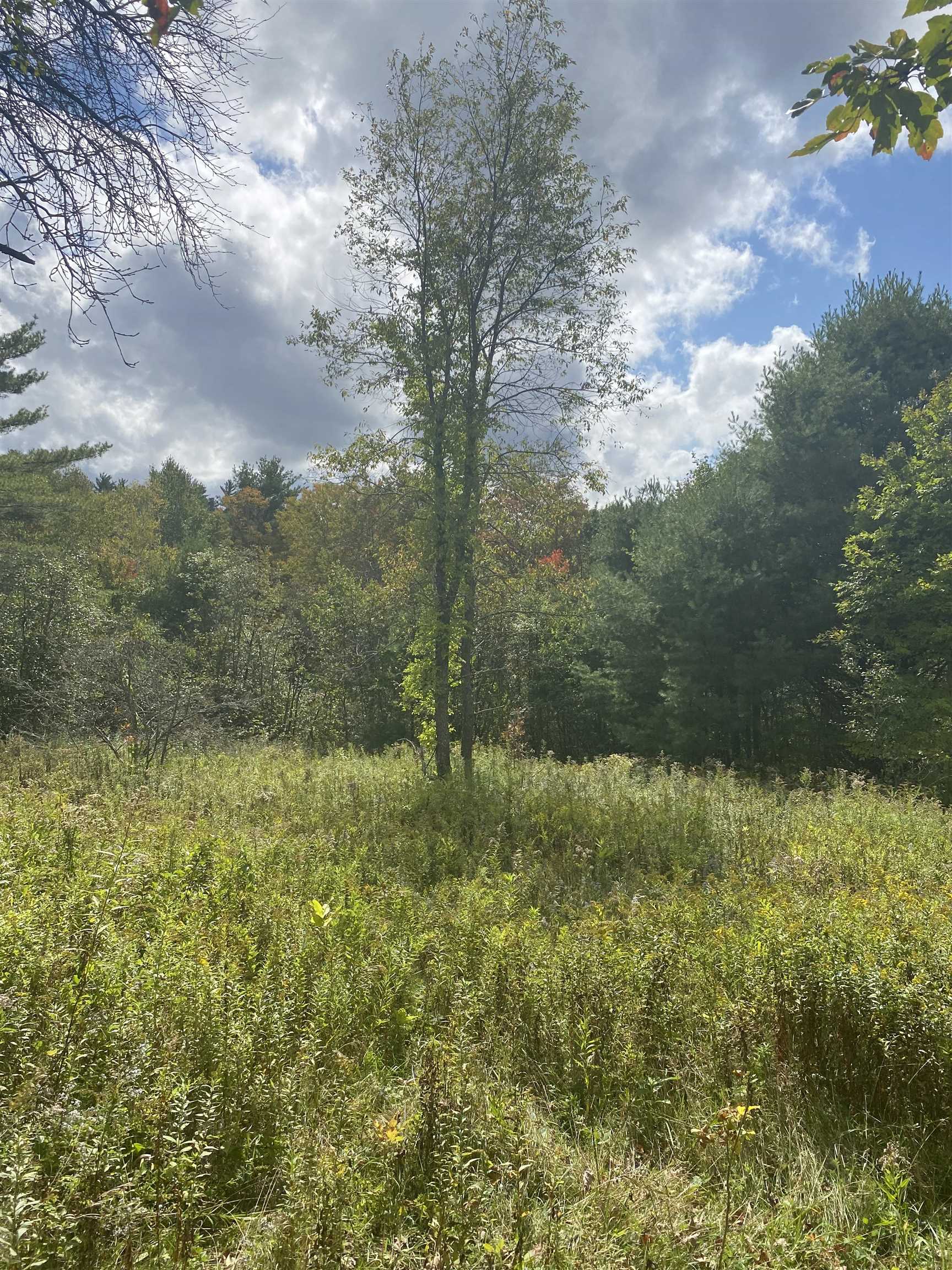 226 Cutler Road Lempster, NH 03605 - Photo 2 of 15