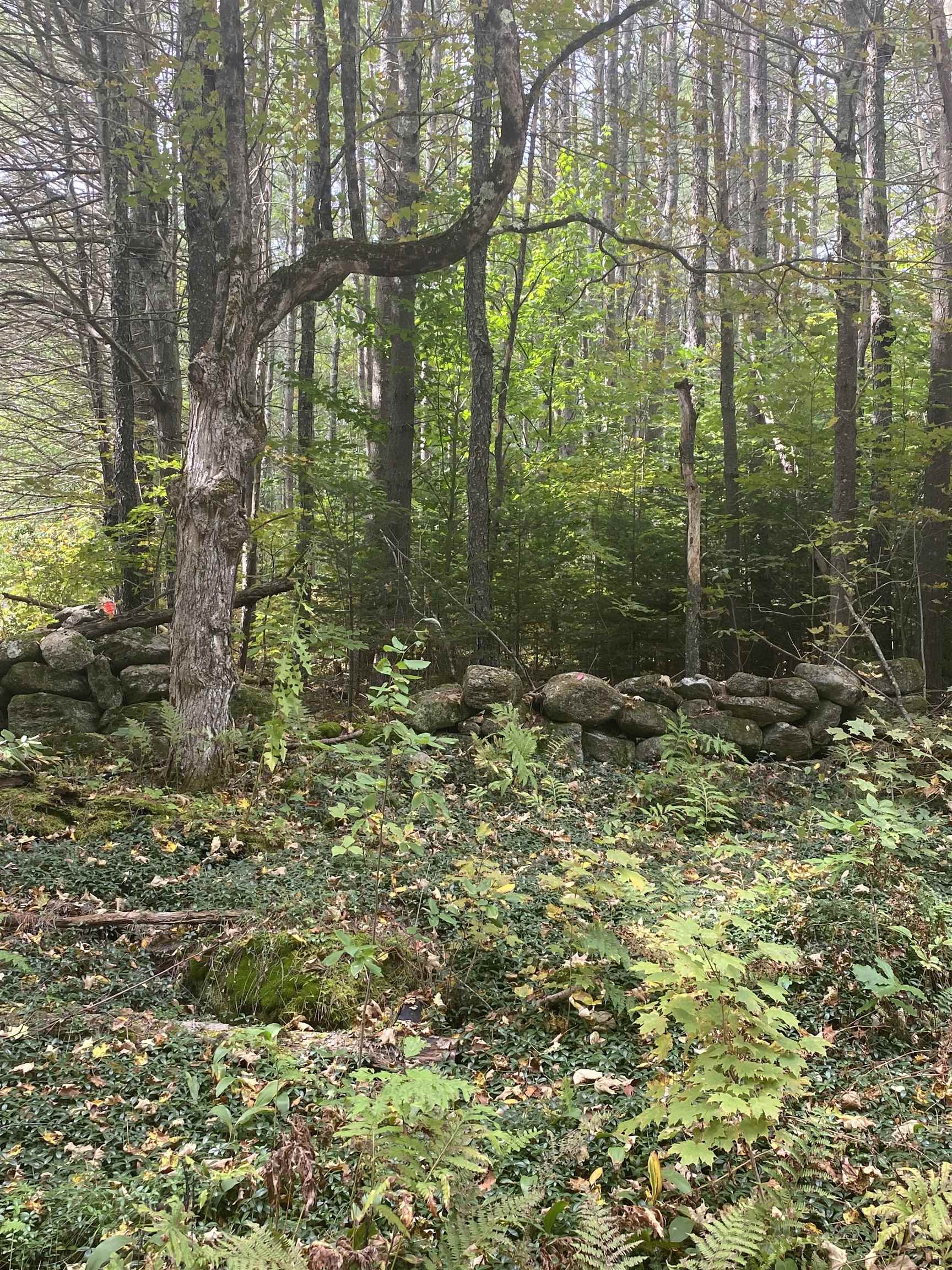 226 Cutler Road Lempster, NH 03605 - Photo 15 of 15