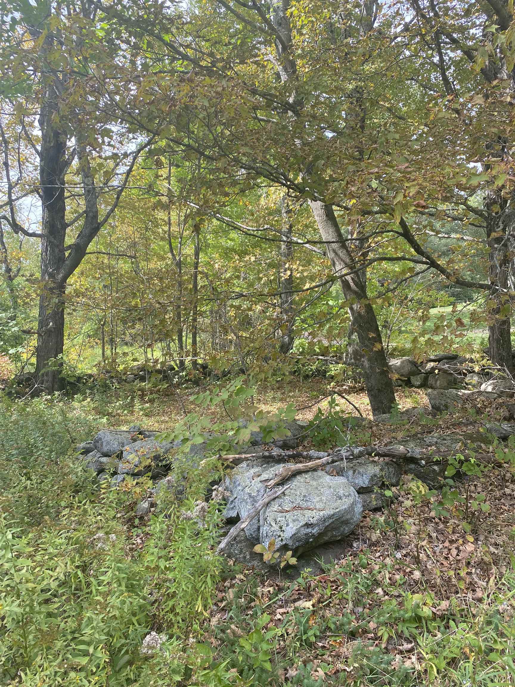 226 Cutler Road Lempster, NH 03605 - Photo 3 of 15