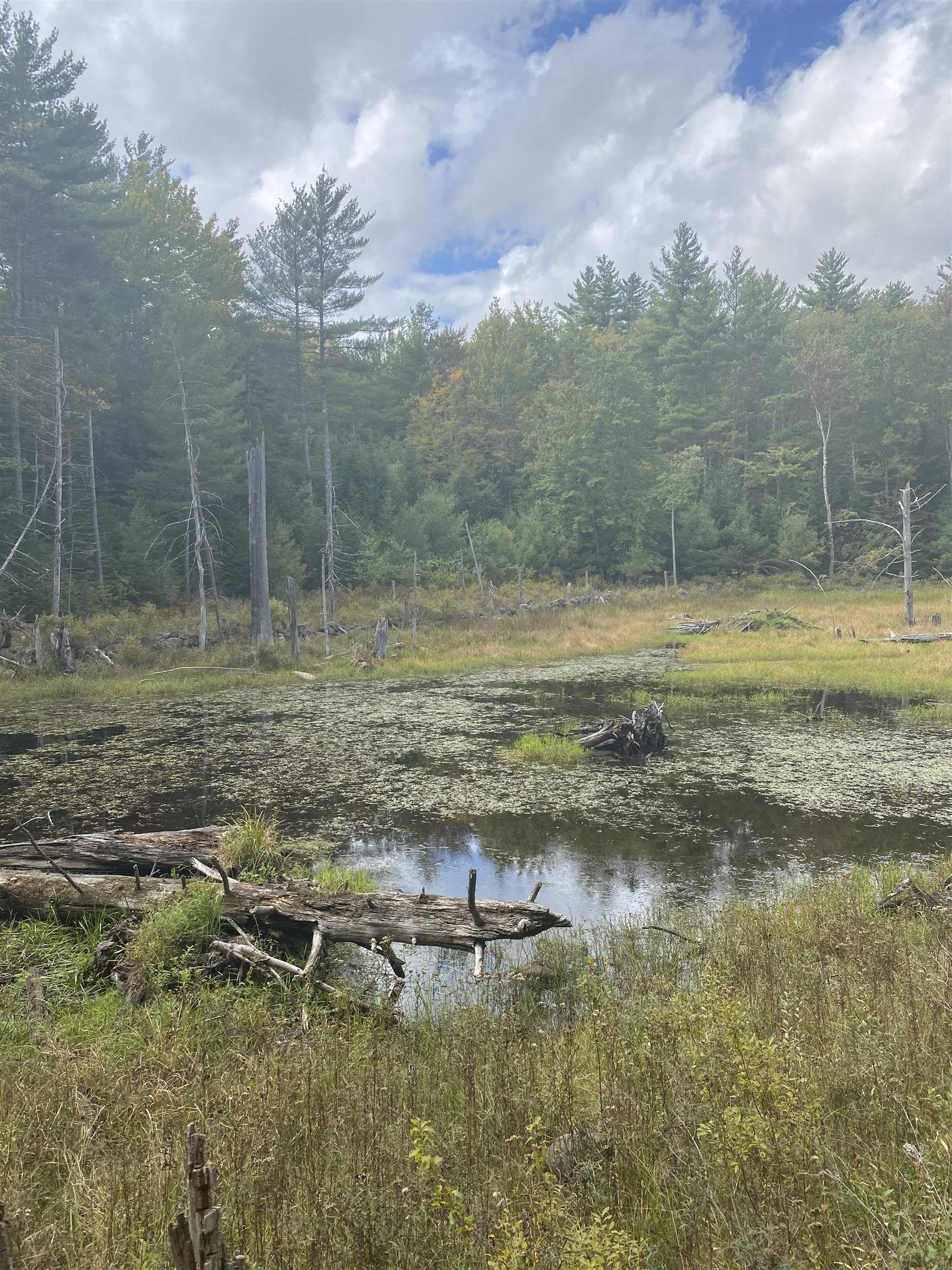 226 Cutler Road Lempster, NH 03605 - Photo 5 of 15