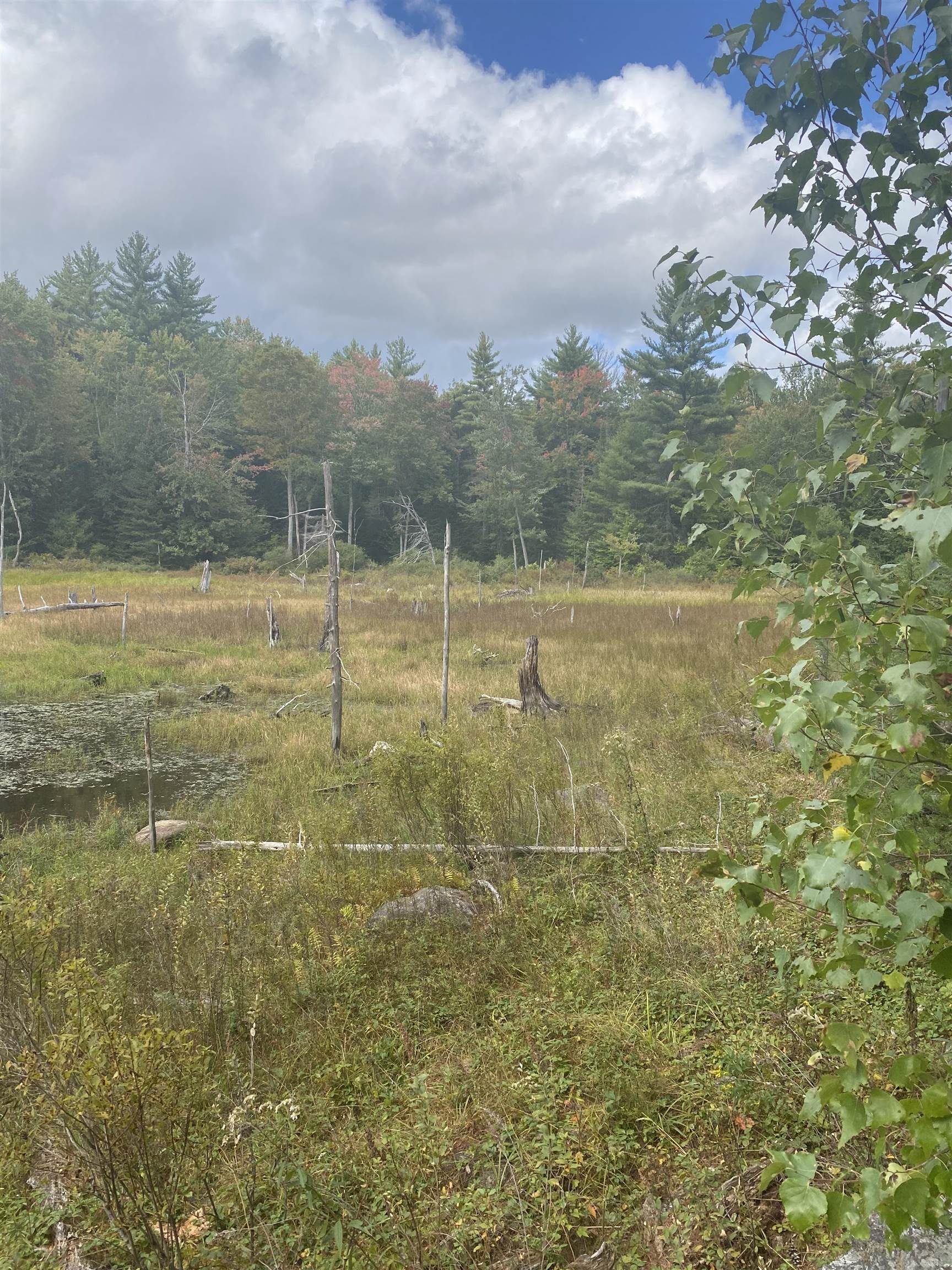 226 Cutler Road Lempster, NH 03605 - Photo 6 of 15