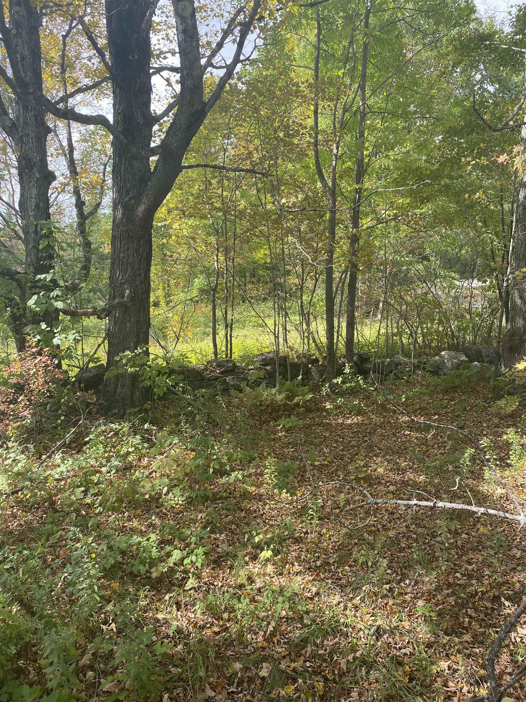 226 Cutler Road Lempster, NH 03605 - Photo 7 of 15