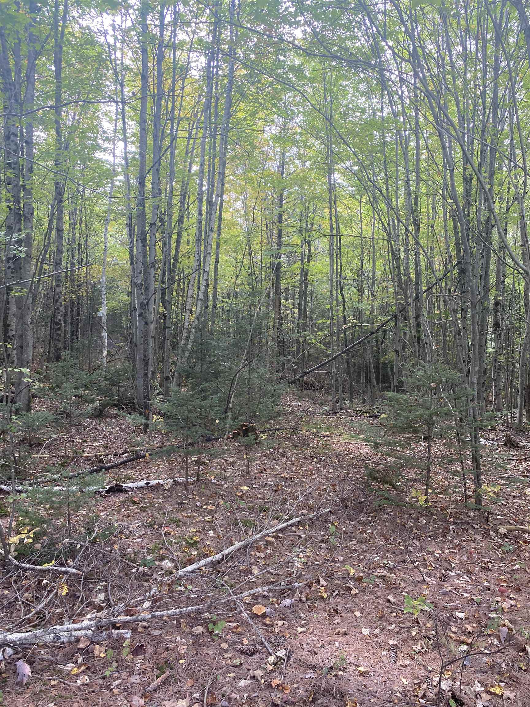 226 Cutler Road Lempster, NH 03605 - Photo 8 of 15