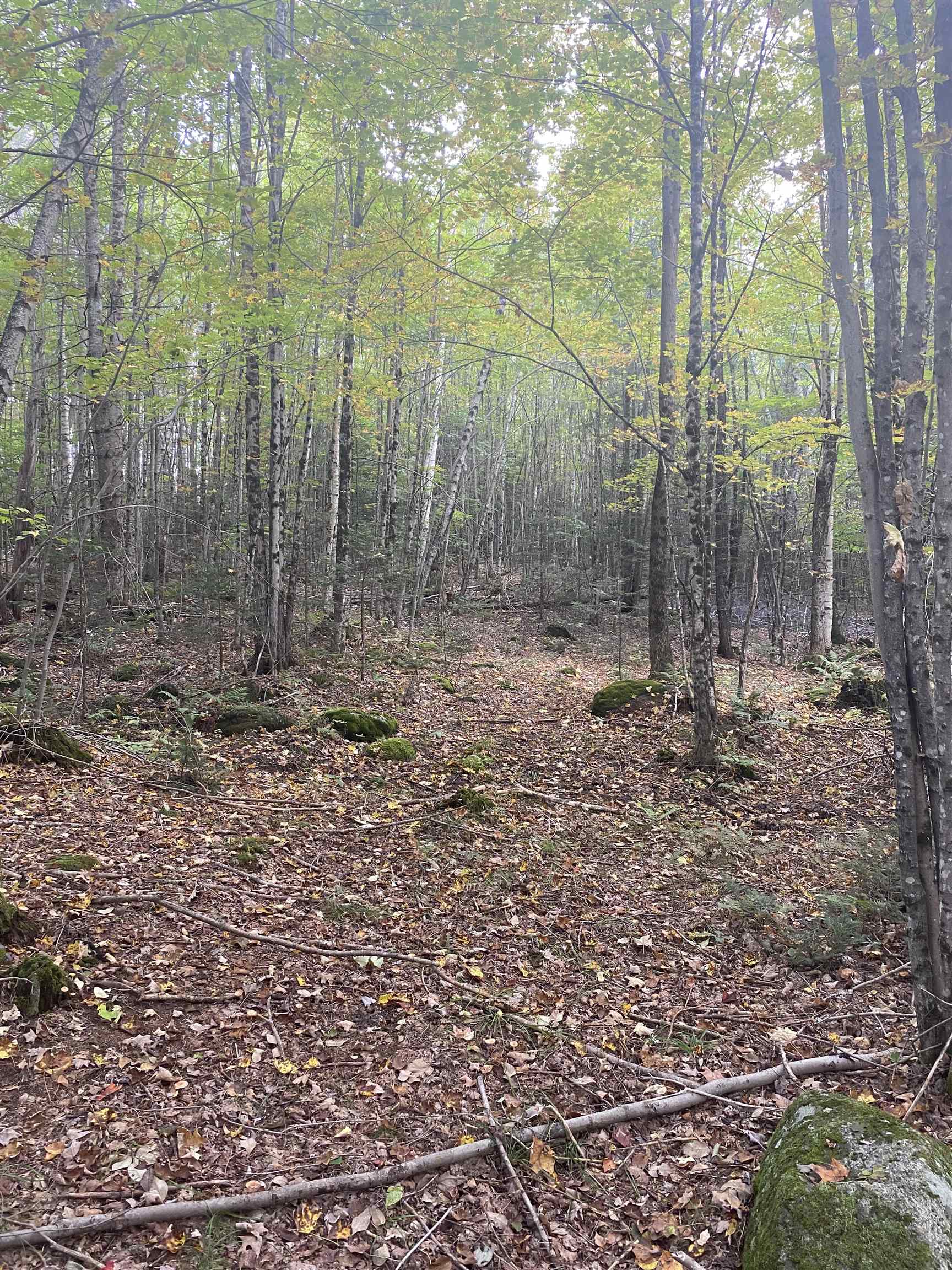 226 Cutler Road Lempster, NH 03605 - Photo 10 of 15