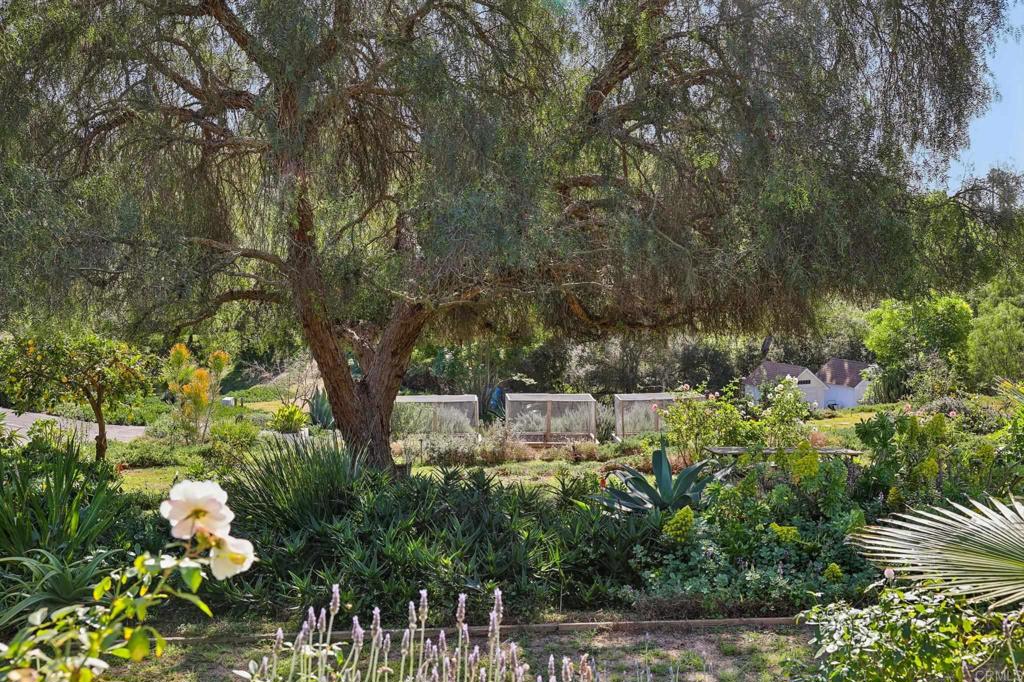 1761 Winterwarm Drive Fallbrook, CA 92028 - Photo 36 of 72
