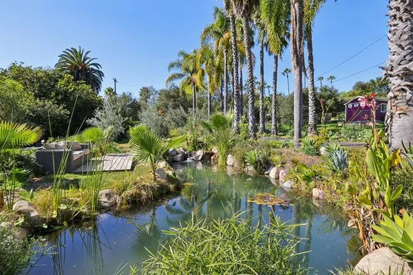 a view of a backyard