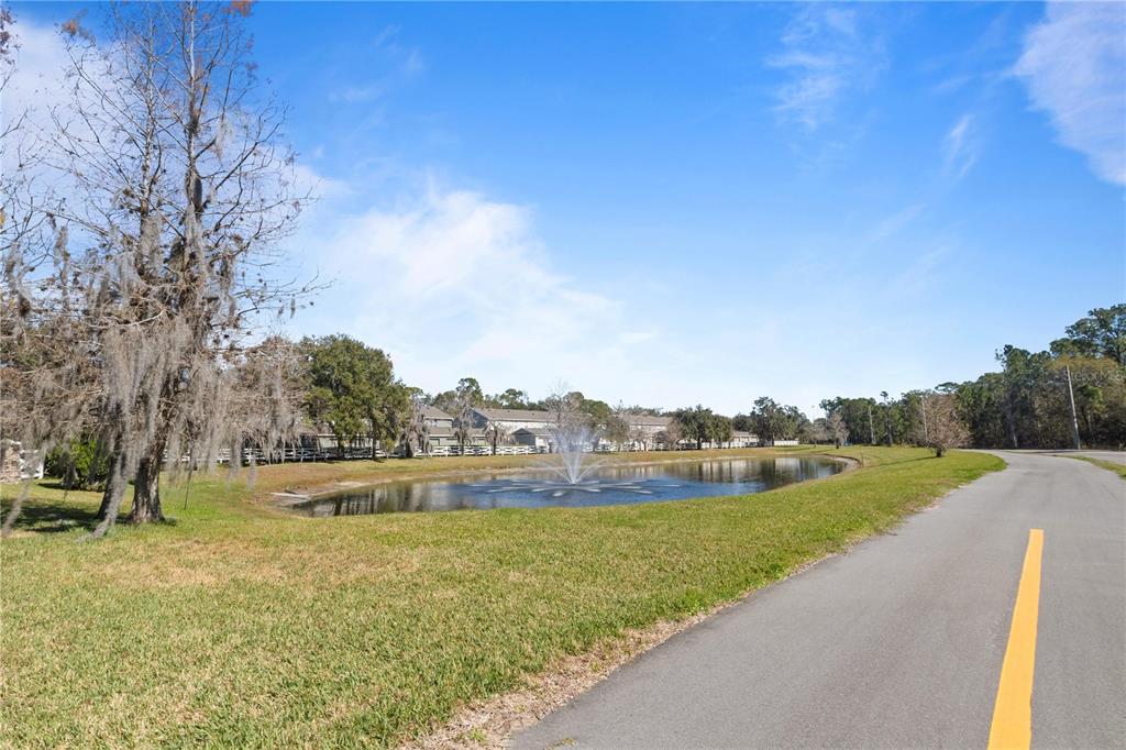 8804 Danforth Drive Windermere, FL 34786 - Photo 23 of 24