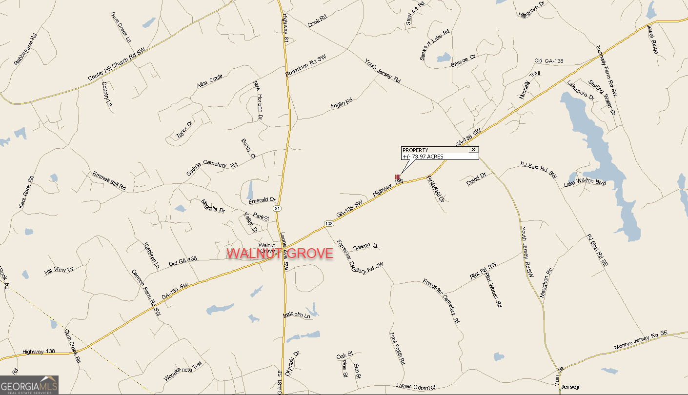 3905 Highway 138 Covington, GA 30014 - Photo 40 of 40