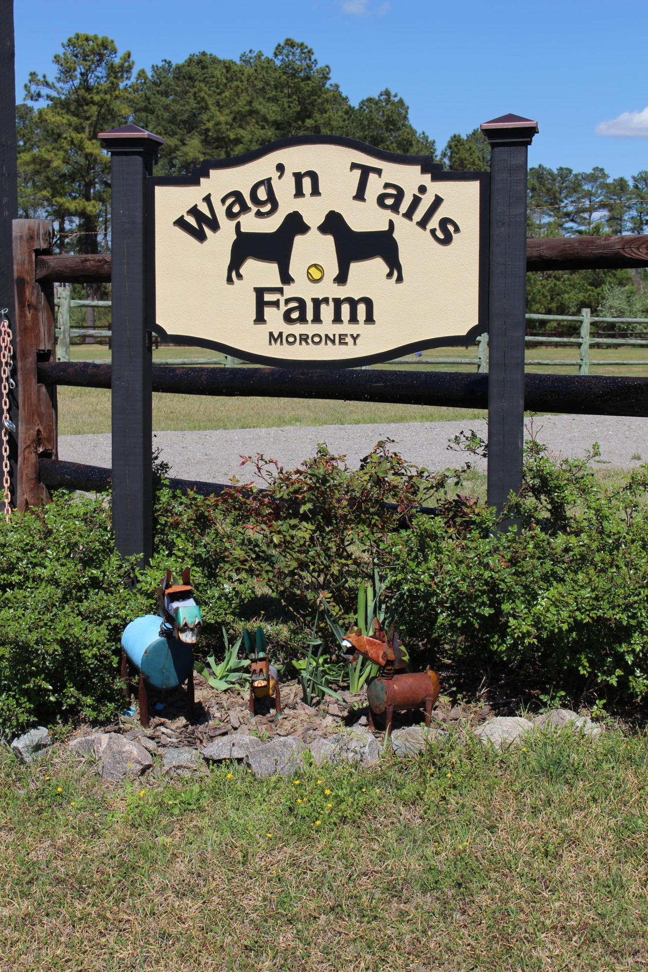 401 Youngs Road Vass, NC 28394 - Photo 2 of 33 Welcome to Wags'n Tails Farm!
