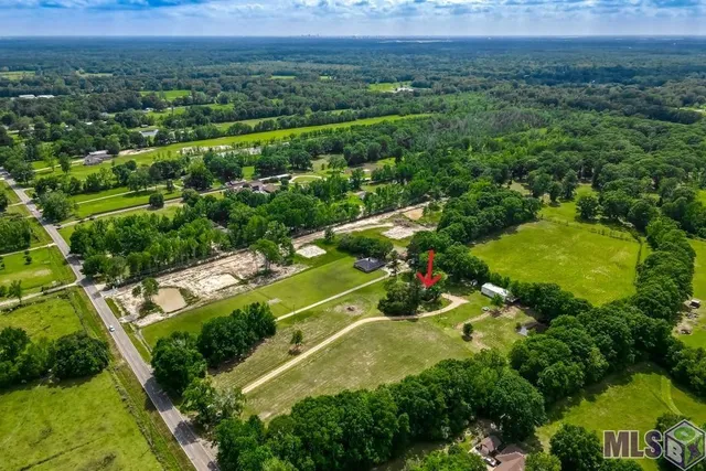 $465,000 | 14505 Blackwater Road, Central, LA 70714