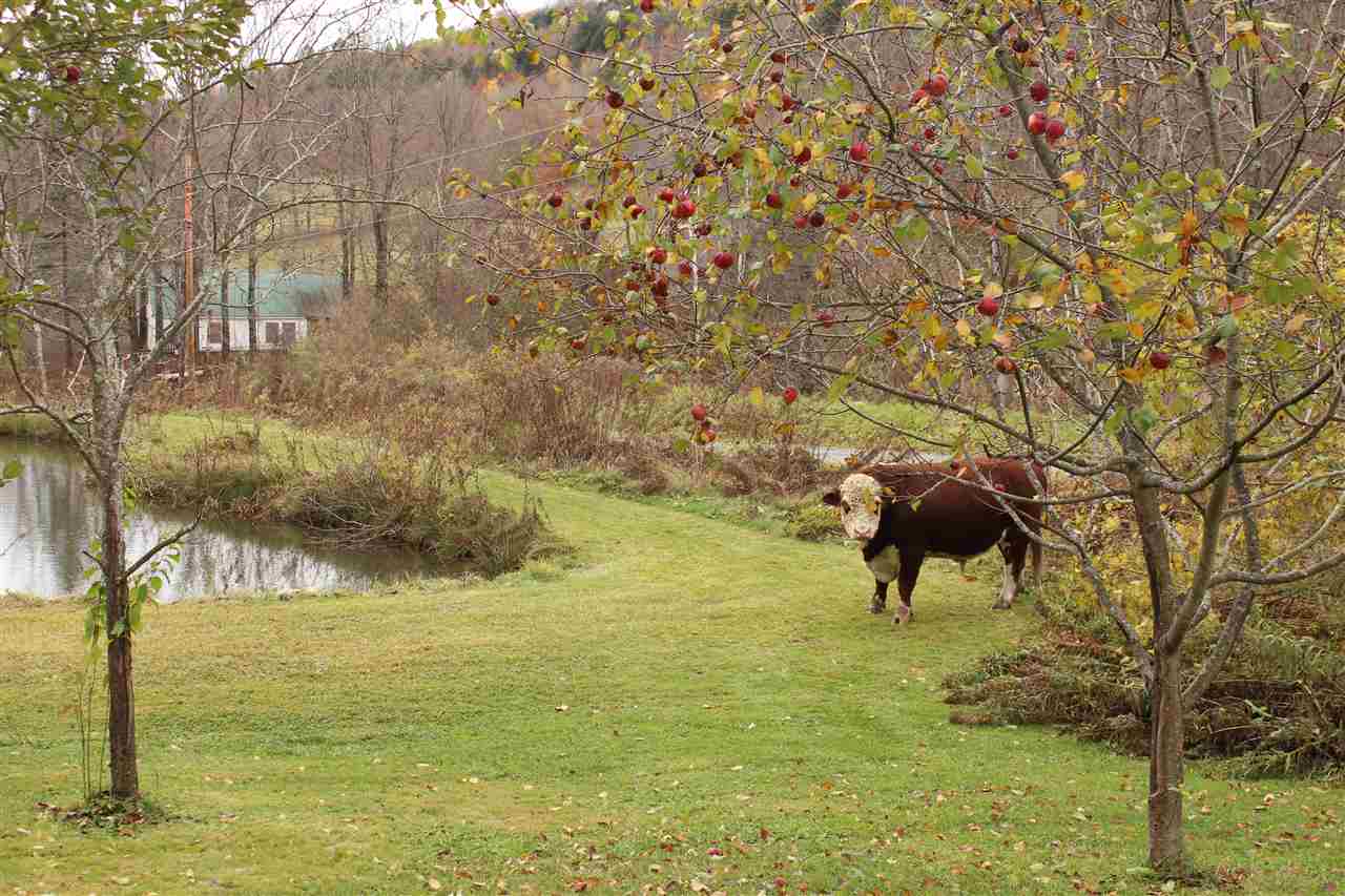 674 Bartlett Brook Road Pomfret, VT 05067 - Photo 16 of 26