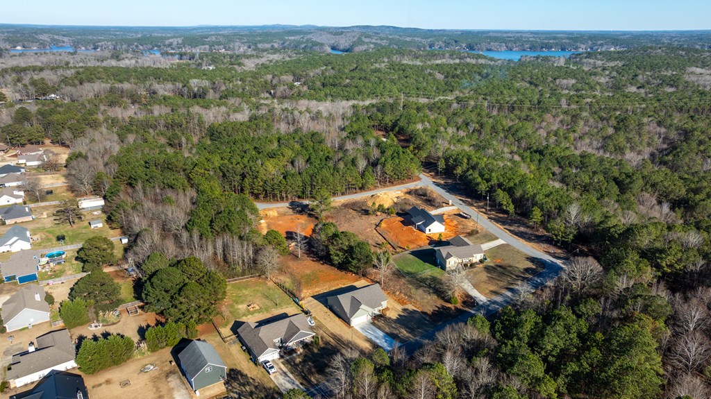 163 Lee Road Salem, AL 36874 - Photo 7 of 28 Gallery Image 7