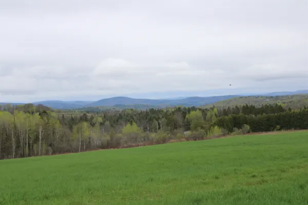 $650,000 | Us Route, Unit 2, Danville, VT 05828