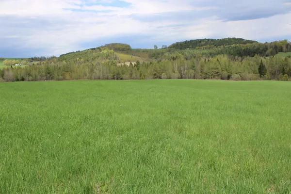 $650,000 | Us Route, Unit 2, Danville, VT 05828