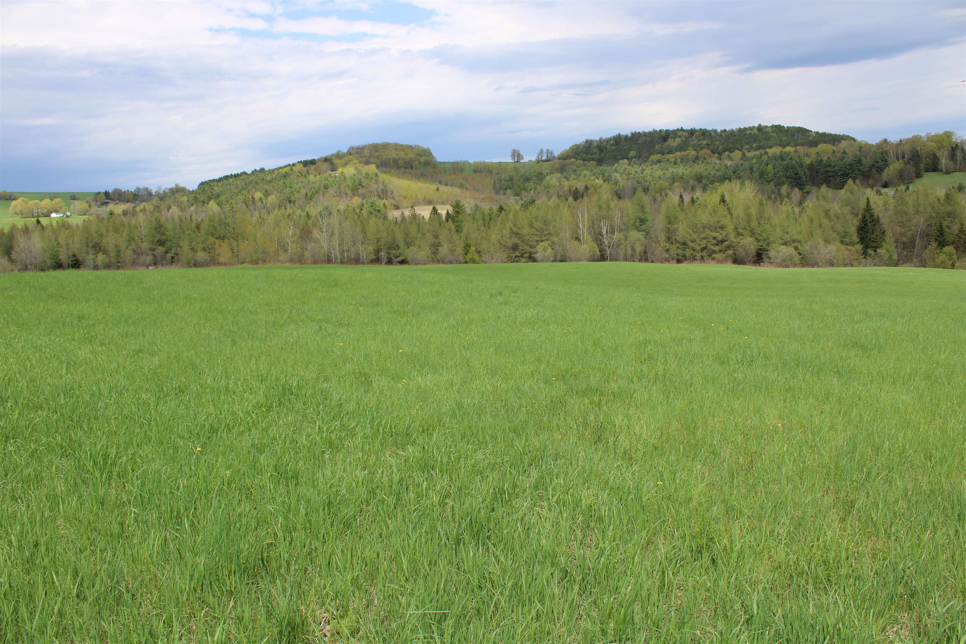 Us Route, Unit 2 Danville, VT 05828 - Photo 10 of 19