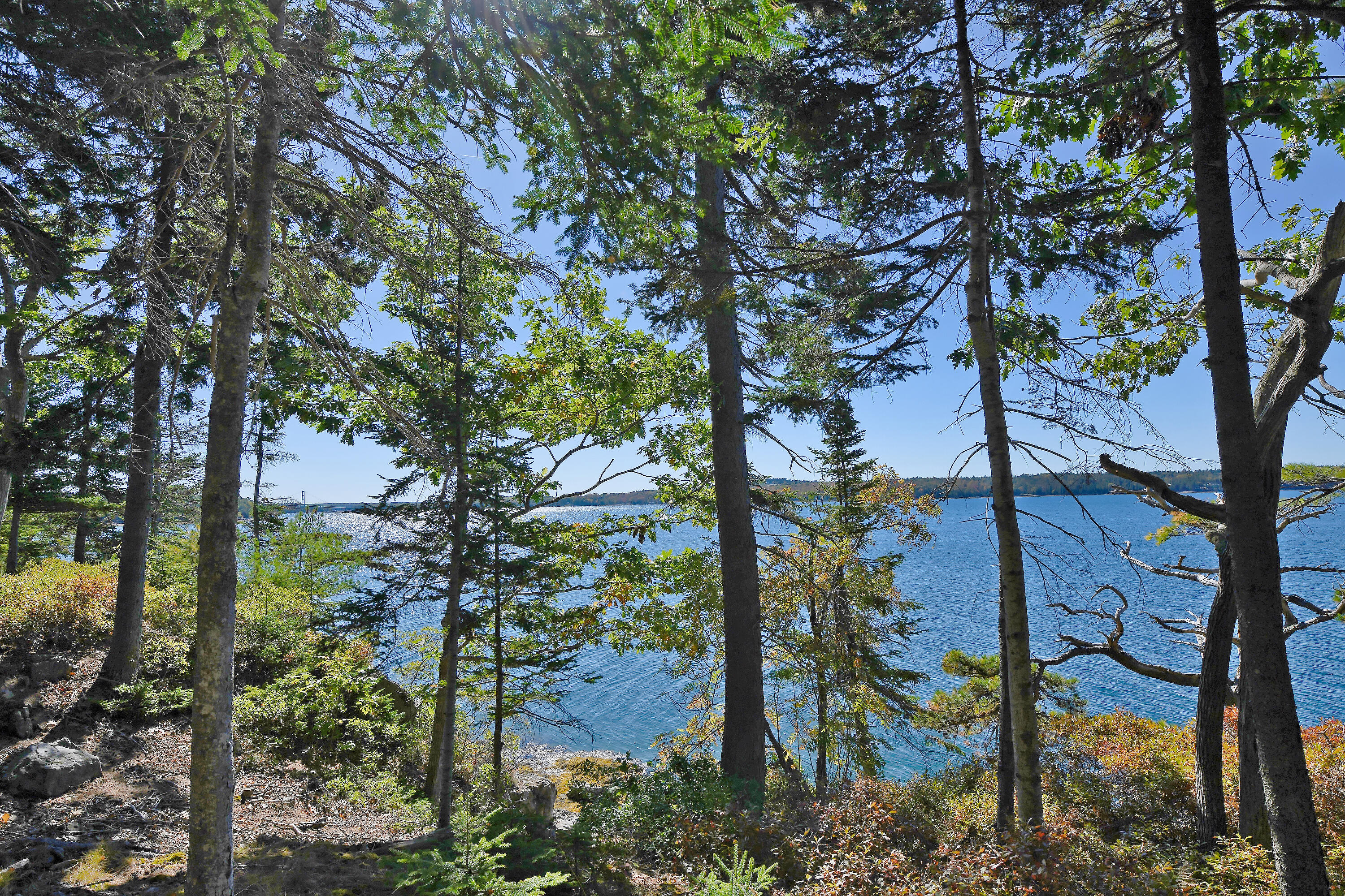 Lot 6 Sunset Road Brooksville, ME 04617 - Photo 8 of 35