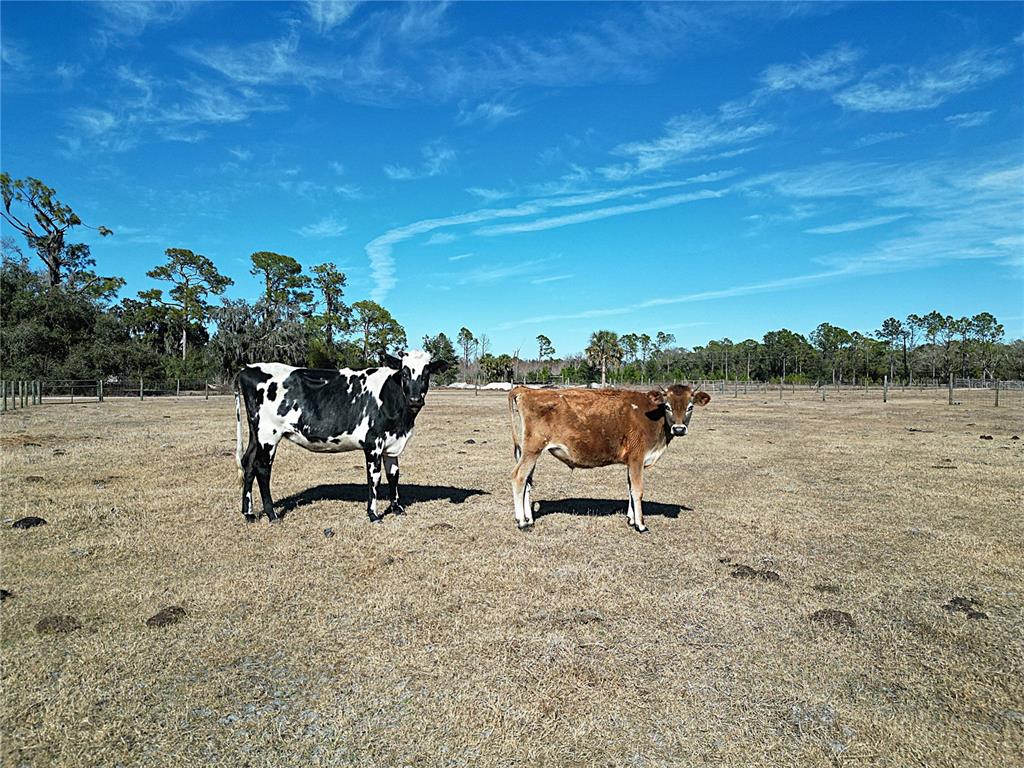 15260 Sugarbowl Road Myakka City, FL 34251 - Photo 15 of 16