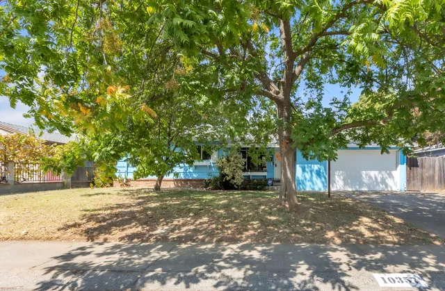 a view of a yard with a house and trees in the background
