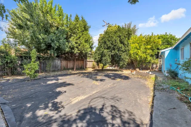 a view of a yard with plants and trees