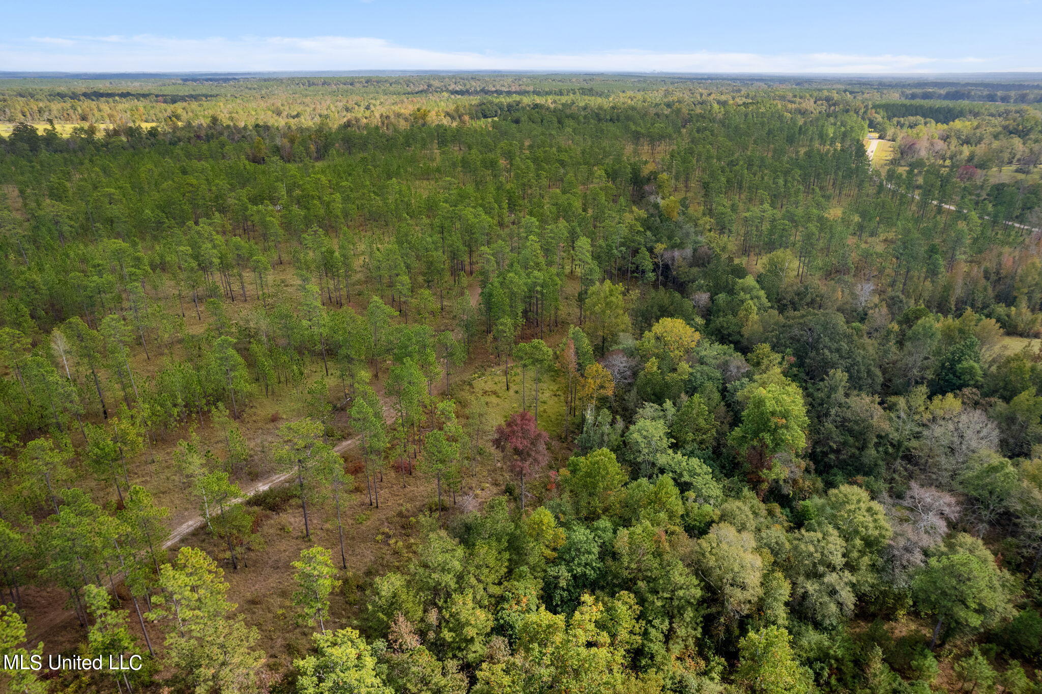 24 /- Acres Luther Carter Road Petal, MS 39465 - Photo 29 of 48 Luther_Carther_Road-12