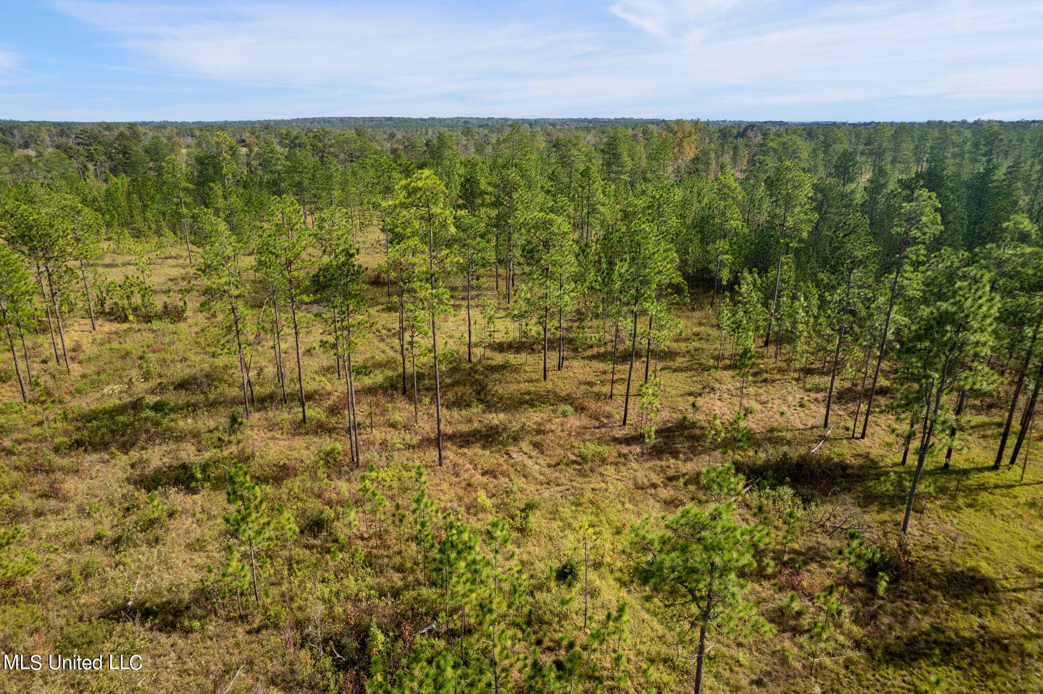 24 /- Acres Luther Carter Road Petal, MS 39465 - Photo 31 of 48 Luther_Carther_Road-14