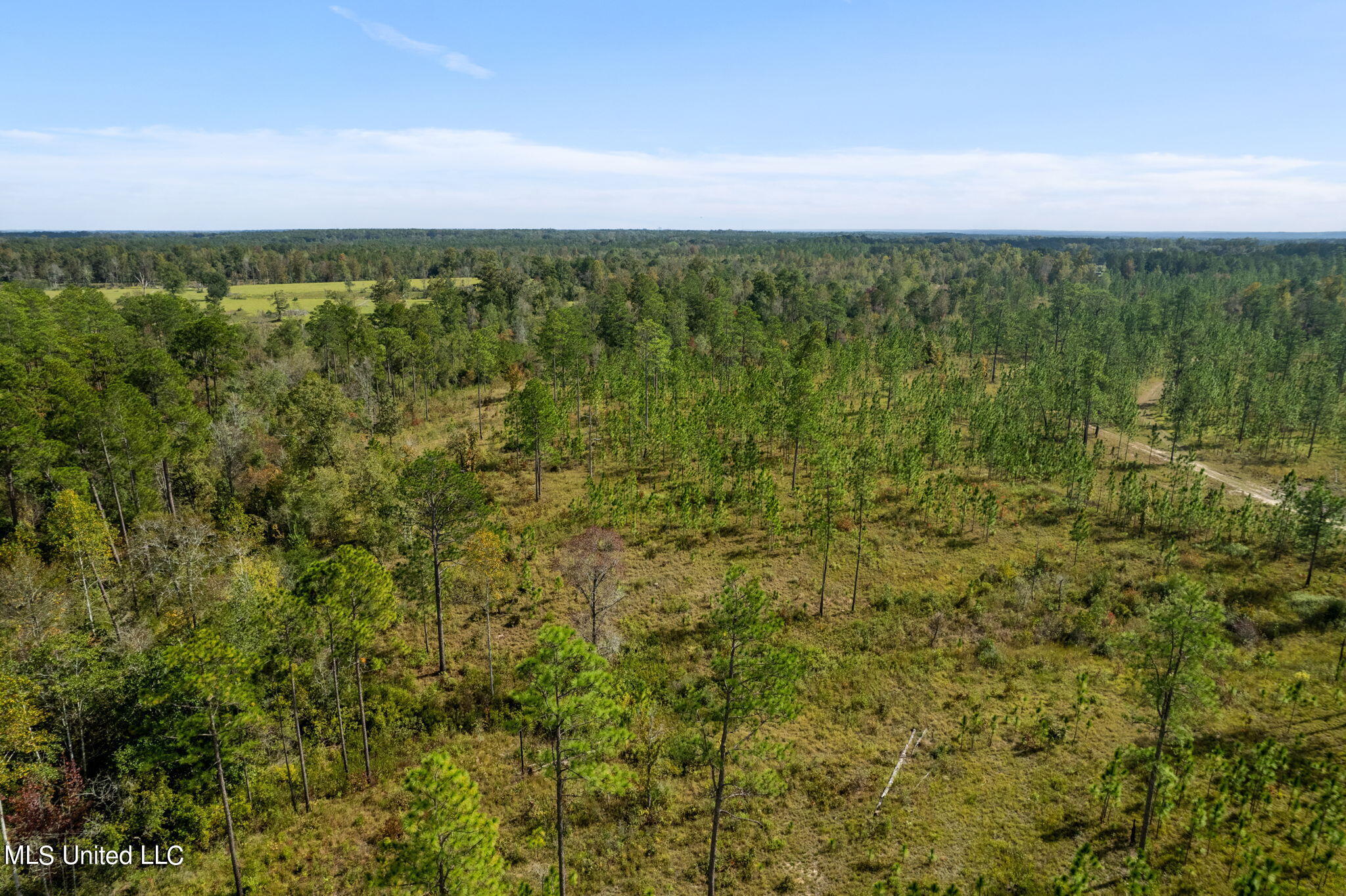 24 /- Acres Luther Carter Road Petal, MS 39465 - Photo 35 of 48 Luther_Carther_Road-18