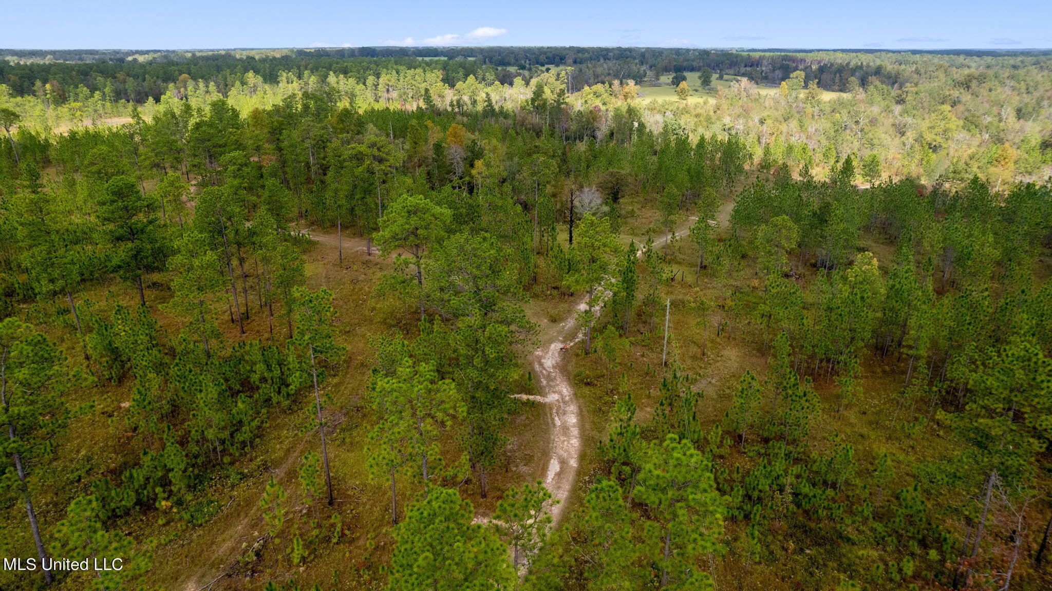24 /- Acres Luther Carter Road Petal, MS 39465 - Photo 37 of 48 Luther_Carther_Road-20