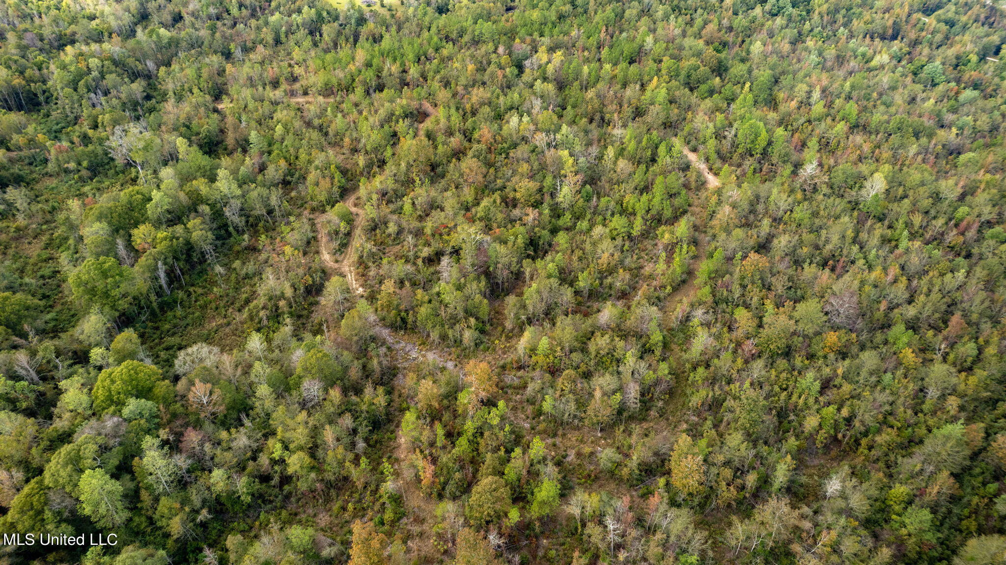 24 /- Acres Luther Carter Road Petal, MS 39465 - Photo 39 of 48 Luther_Carther_Road-22