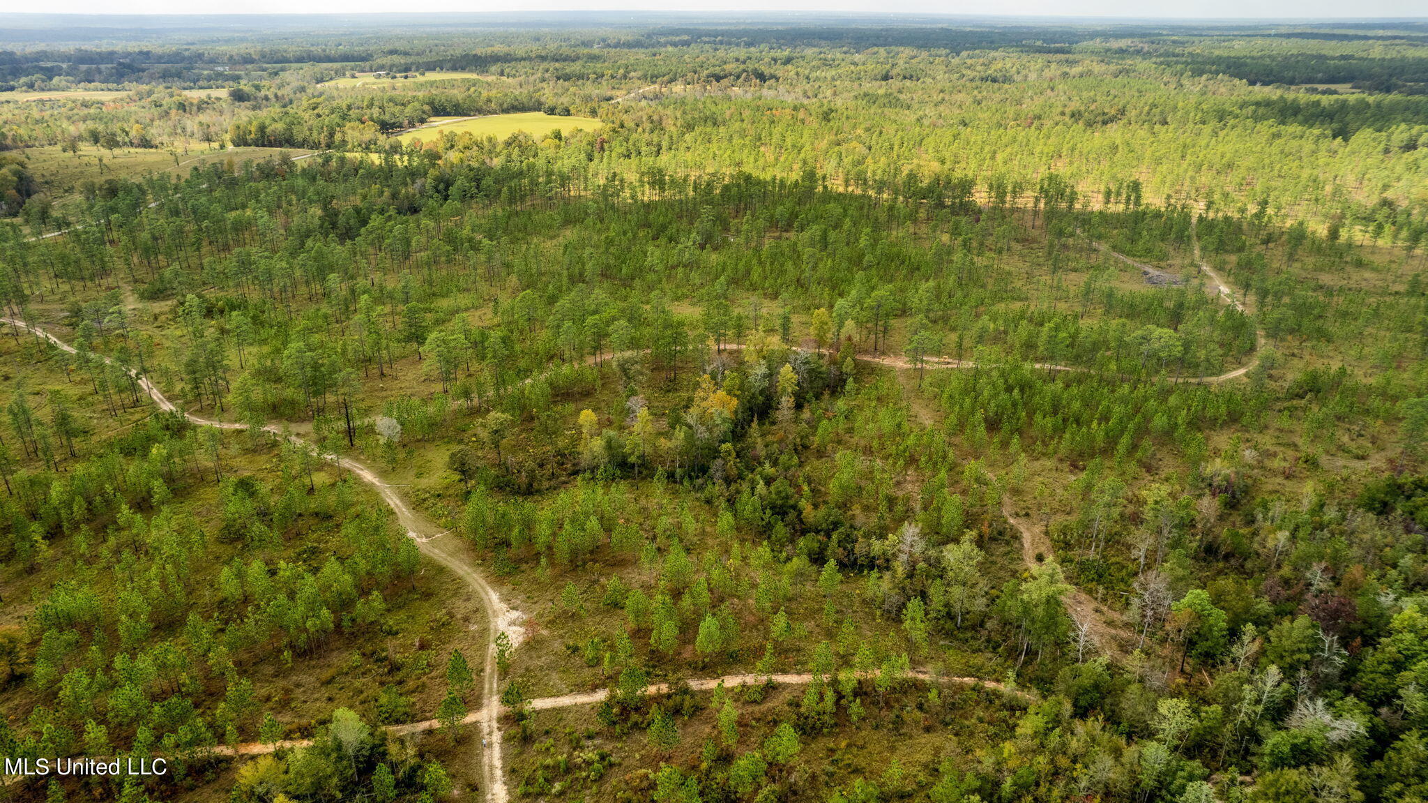 24 /- Acres Luther Carter Road Petal, MS 39465 - Photo 40 of 48 Luther_Carther_Road-27