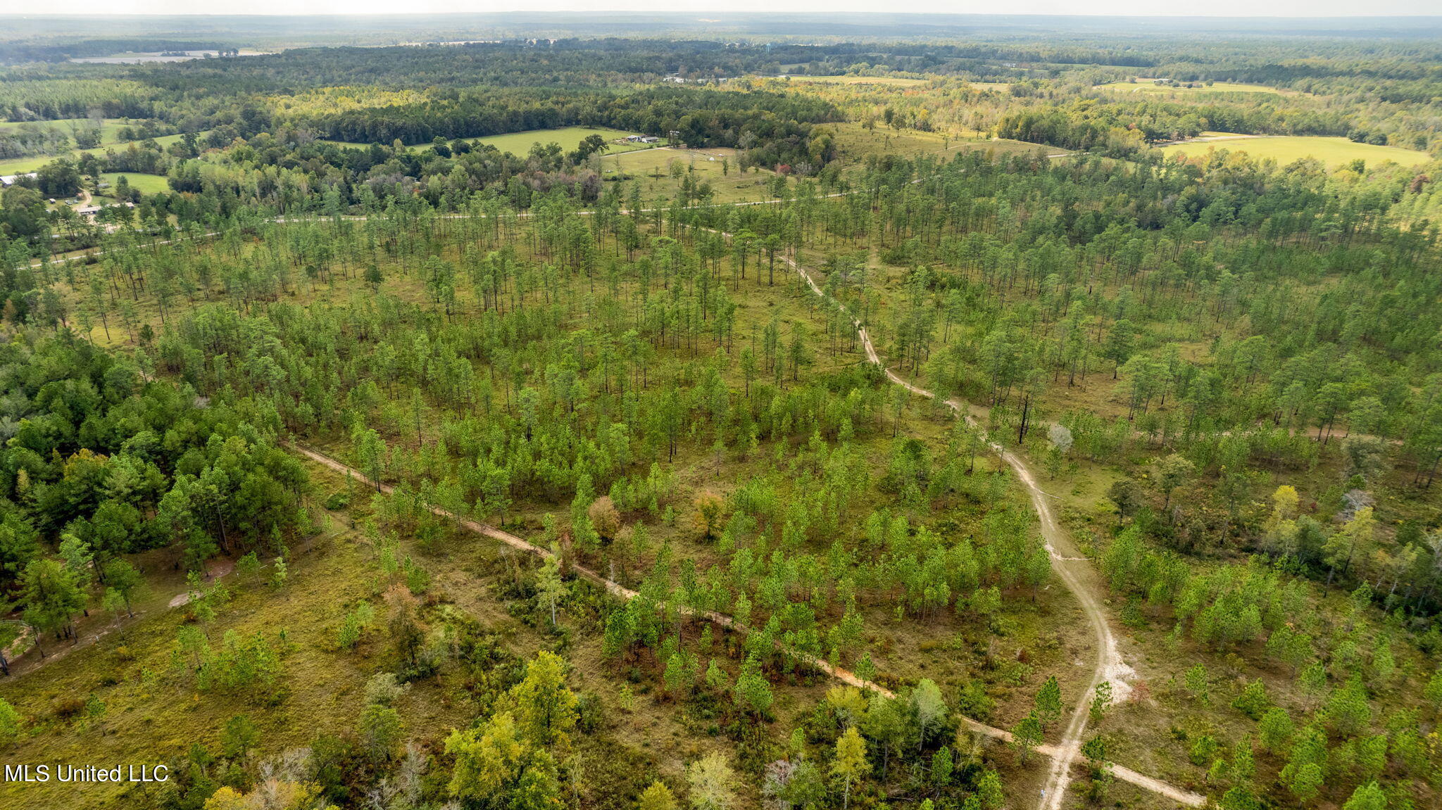24 /- Acres Luther Carter Road Petal, MS 39465 - Photo 41 of 48 Luther_Carther_Road-28