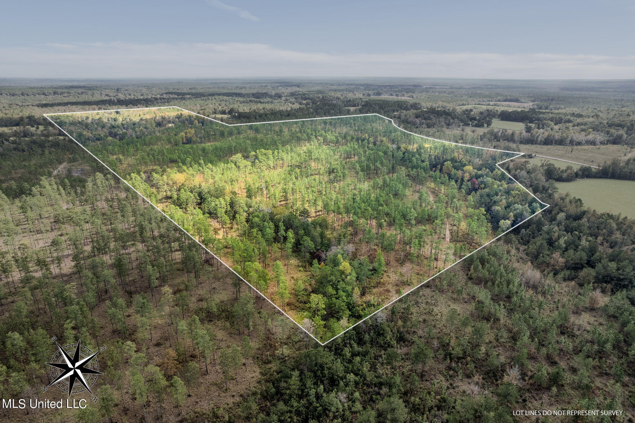 24 /- Acres Luther Carter Road Petal, MS 39465 - Photo 42 of 48 Luther_Carther_Road-1