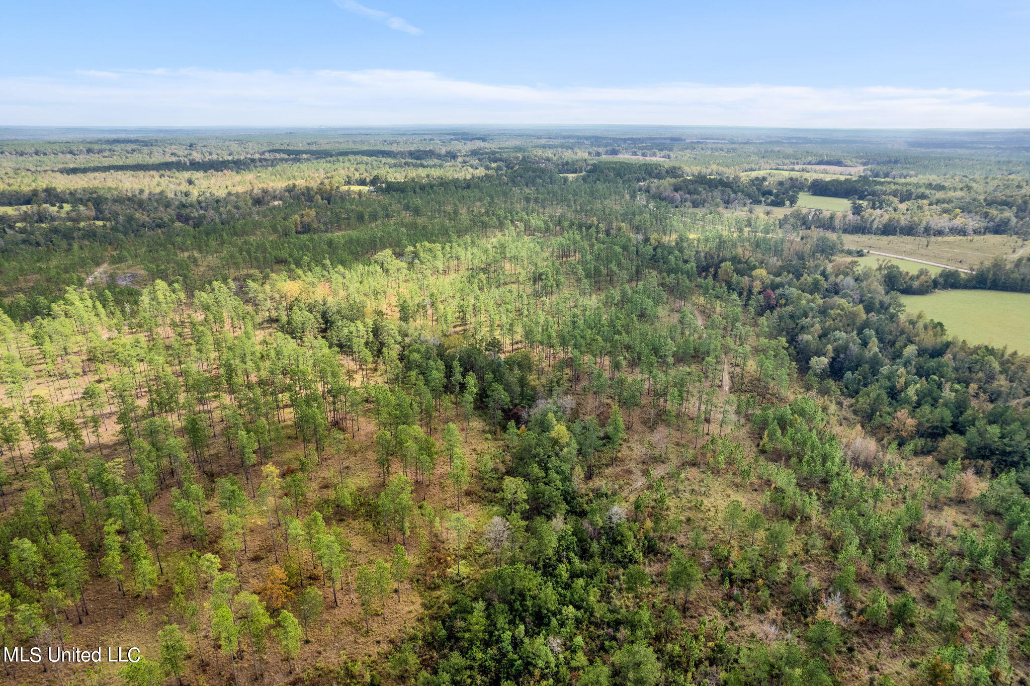 24 /- Acres Luther Carter Road Petal, MS 39465 - Photo 43 of 48 Luther_Carther_Road-2