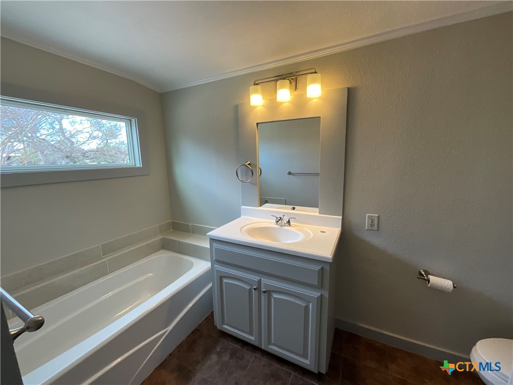 2301 Sumac Lane Cedar Park, TX 78613 - Photo 26 of 26 a bathroom with a sink and mirror with bathtub