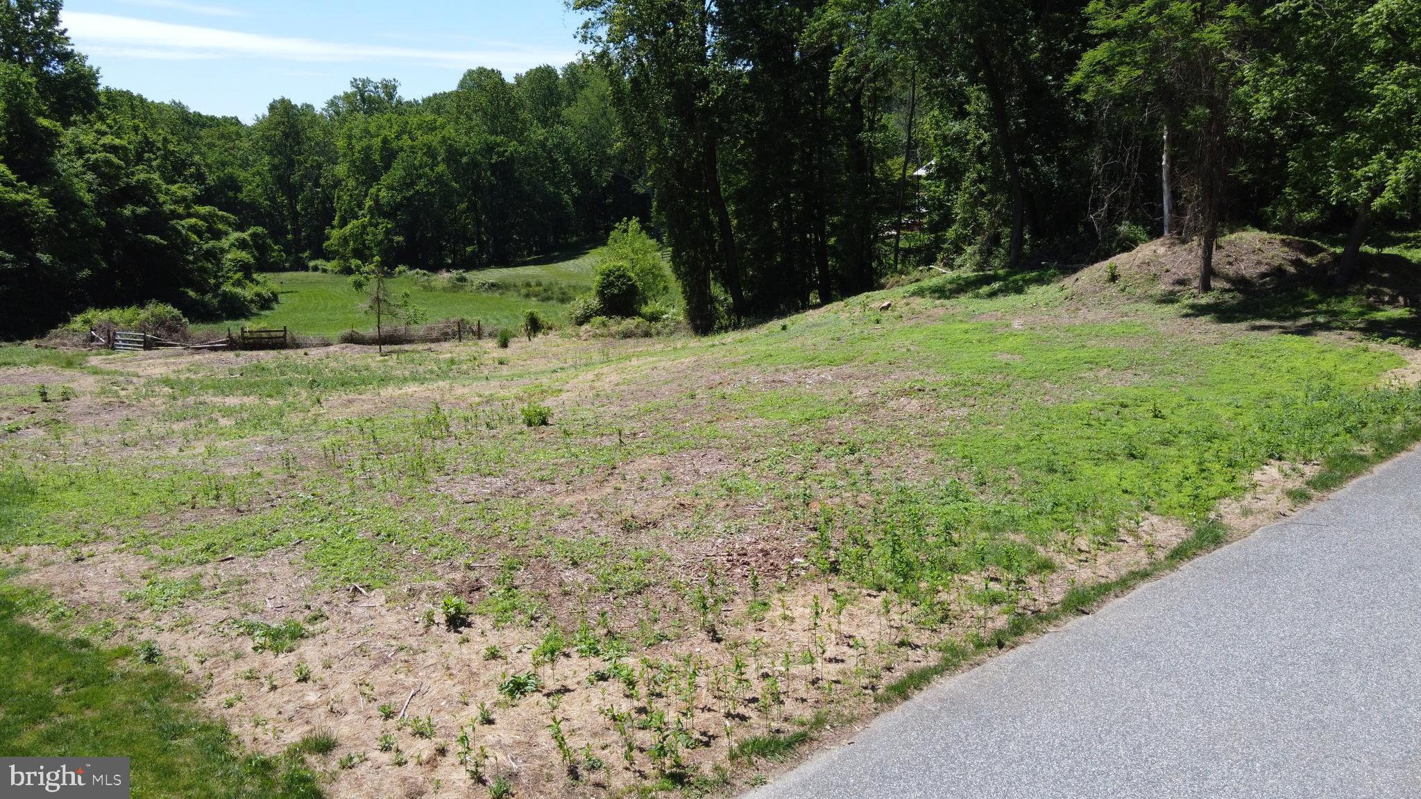 1 A Bardon/manda Mill Road Phoenix, MD 21131 - Photo 6 of 11 Lot cleared