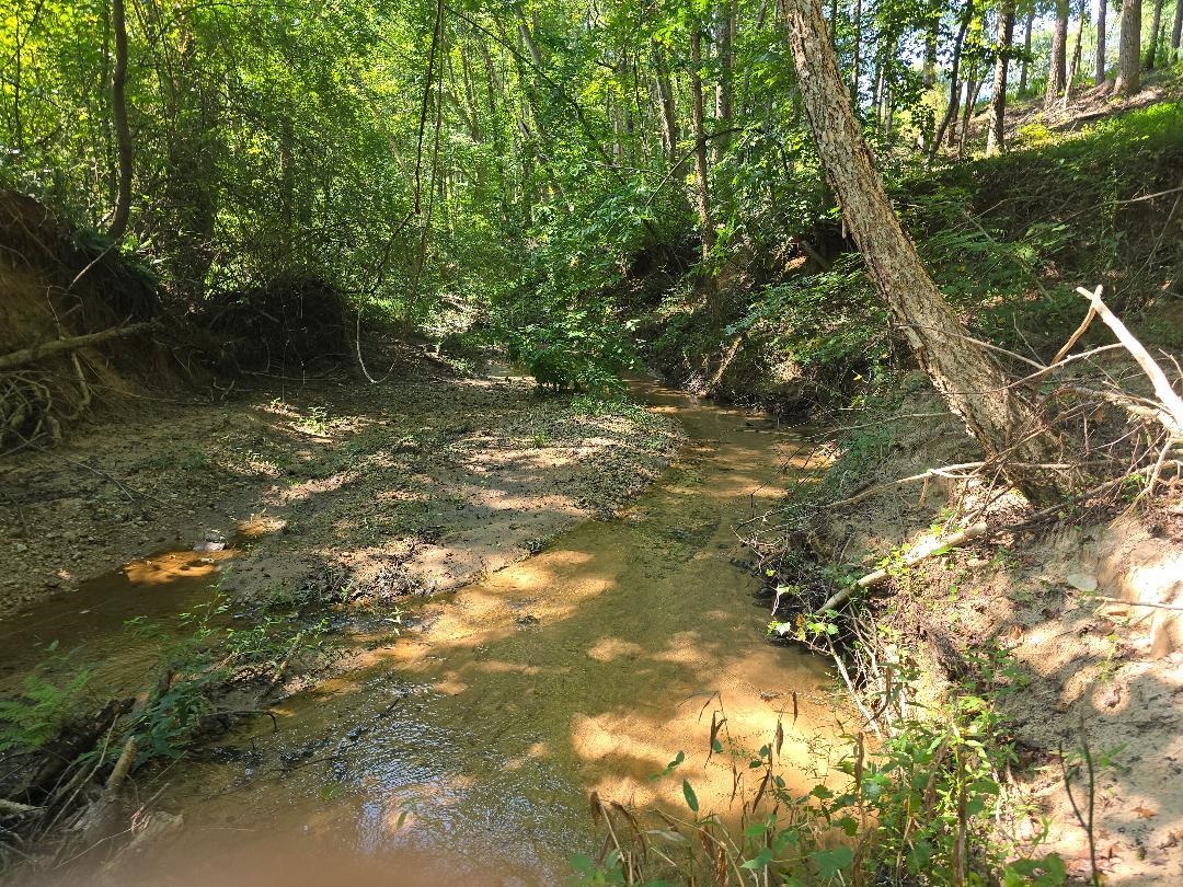 340 State Rd S-42-2215 Roebuck, SC 29376 - Photo 43 of 50