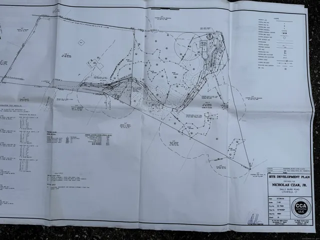 a view of a lush green forest