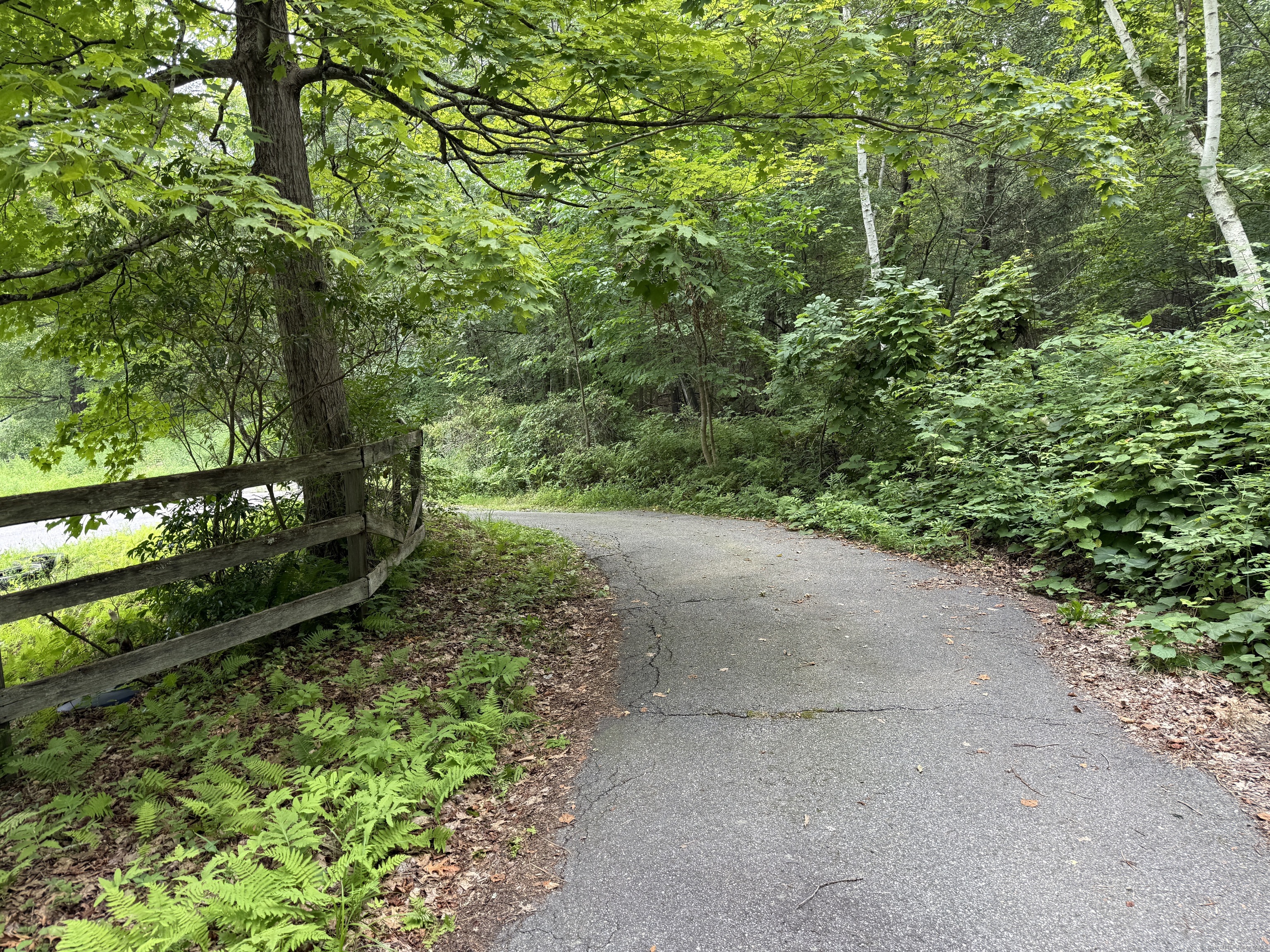 Sally Burr Road Litchfield, CT 06759 - Photo 4 of 8 a view of a garden with plants