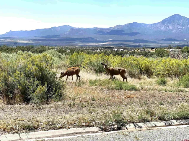a view of an outdoor space with mountain view