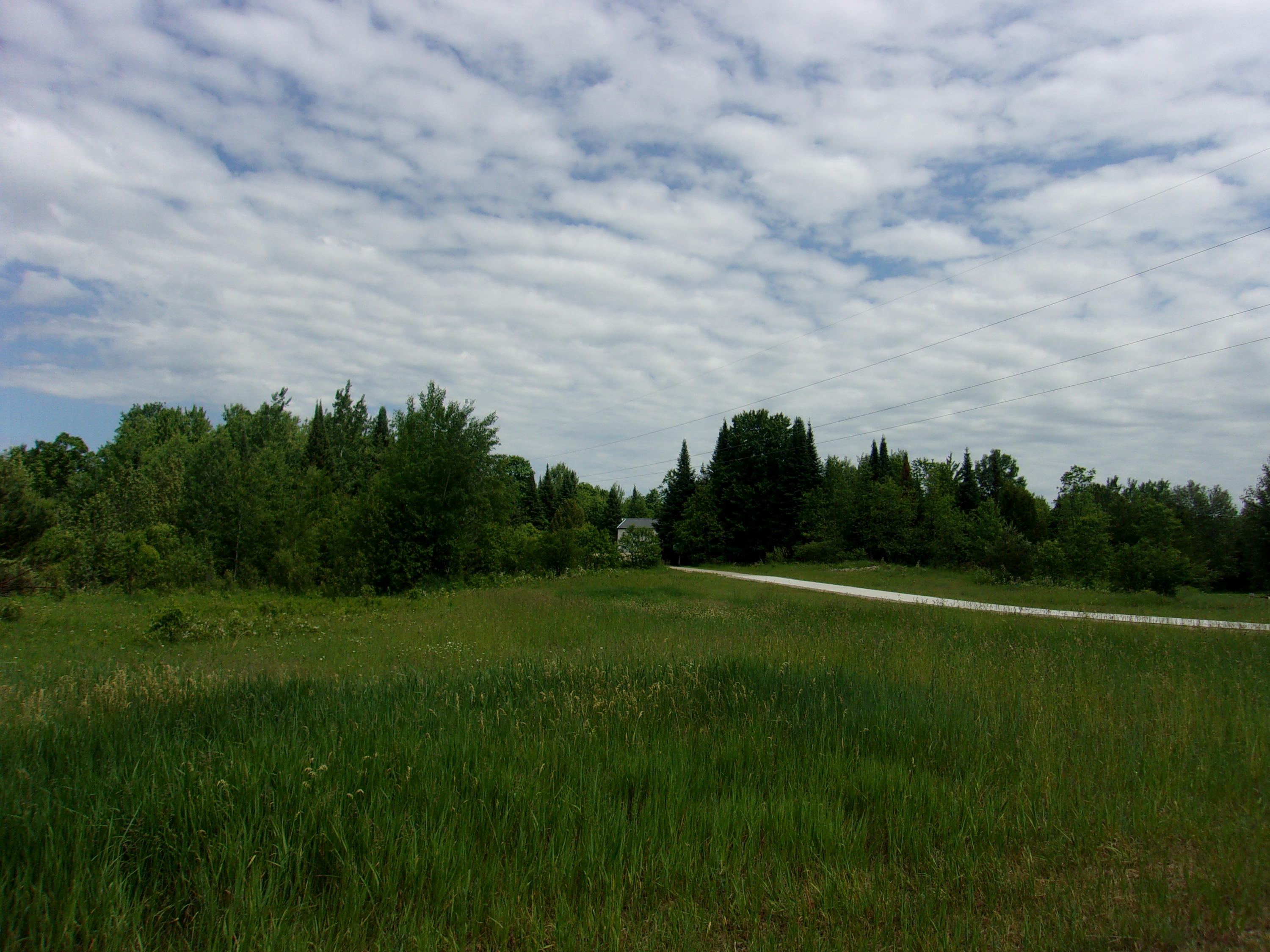 4838 Rondo Road Wolverine, MI 49799 - Photo 9 of 37 Gallery Image 9