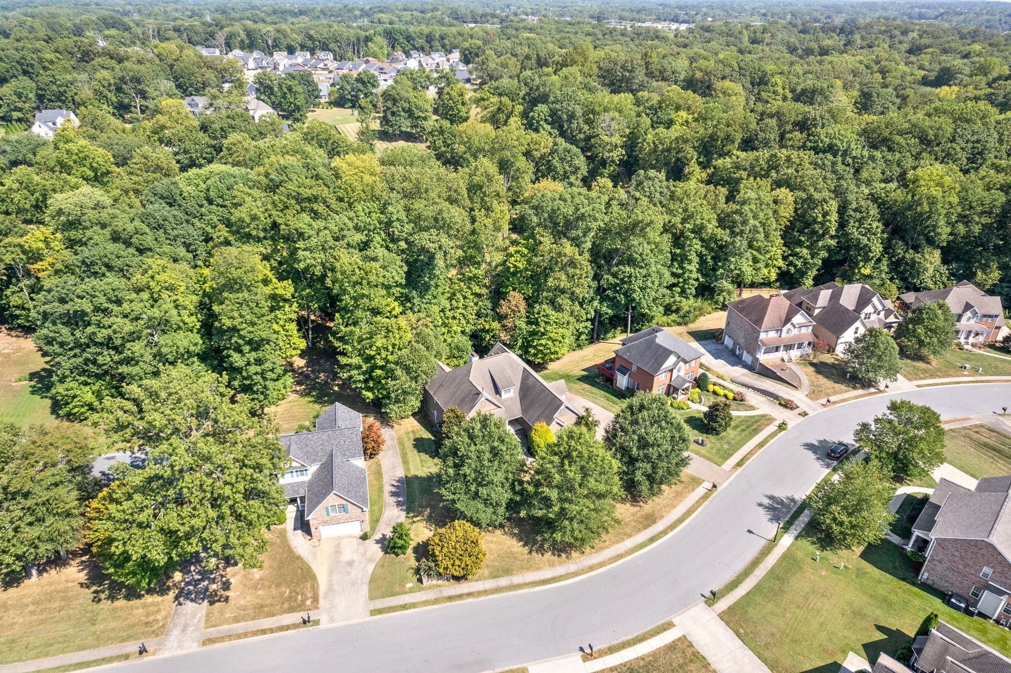 245 Cullom Way Clarksville, TN 37043 - Photo 71 of 74 an aerial view of residential house with outdoor space and trees all around